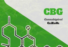 CBG Cannabigérol C21H32O2
